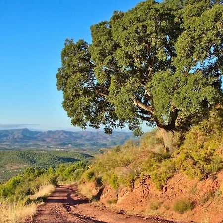 Piso Sierra Calderona A 15 Minutos Del Mar Estivella Lägenhet Exteriör bild